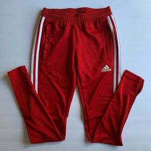 Adidas Tiro 19 Training Pants